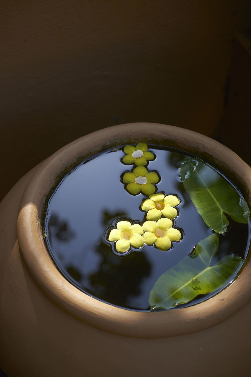 Ayurveda im Barberyn Resort in Sri Lanka. Reisegeschichte für die „freundin“.