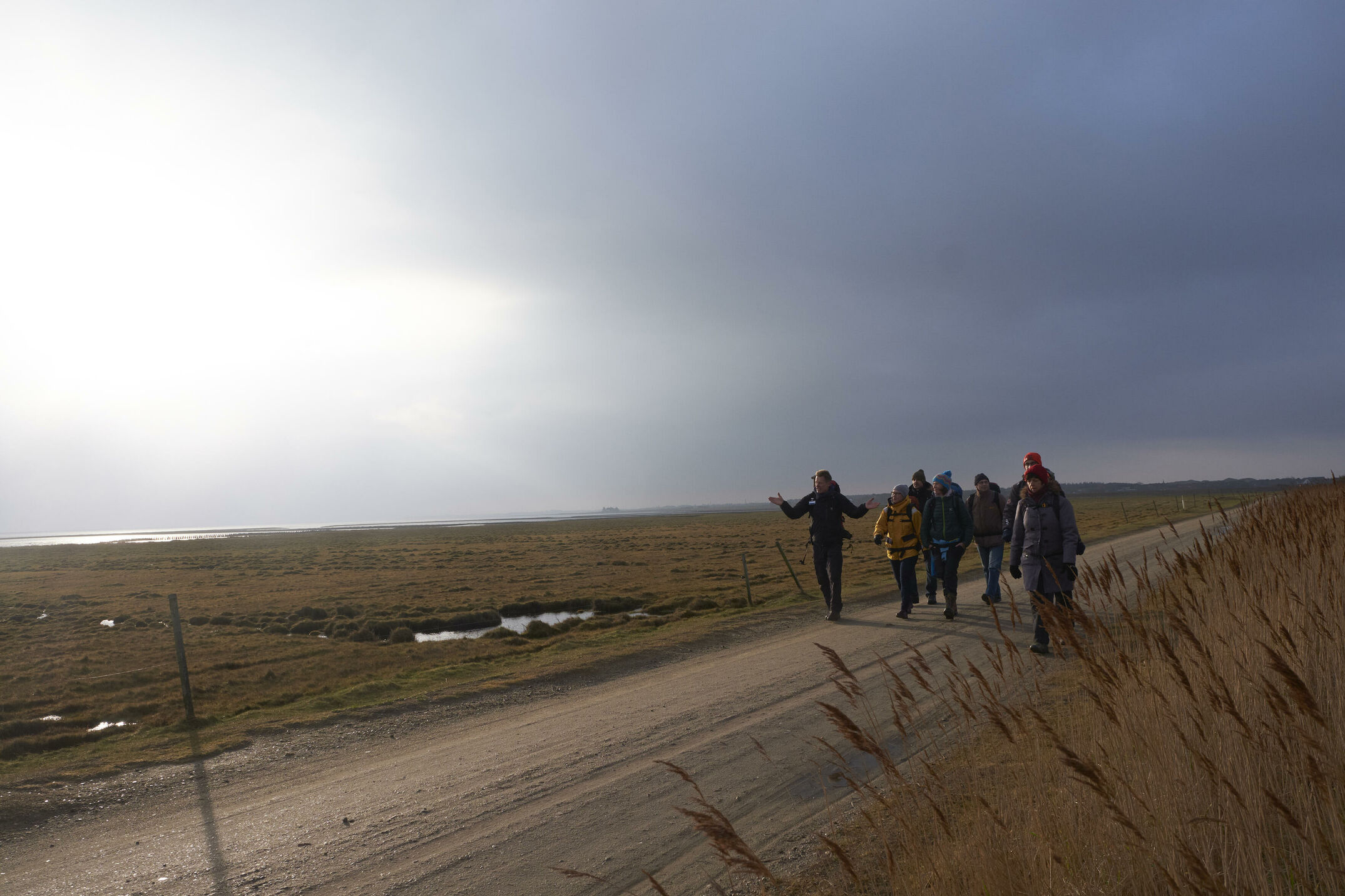 Im Winter an die Nordsee. Es kann nichts Schöneres geben. Wattwanderungen, Dünenspaziergänge, Torten, Grog und Toto Tante, Seafood, Regen und ein schöner Leuchtturm.