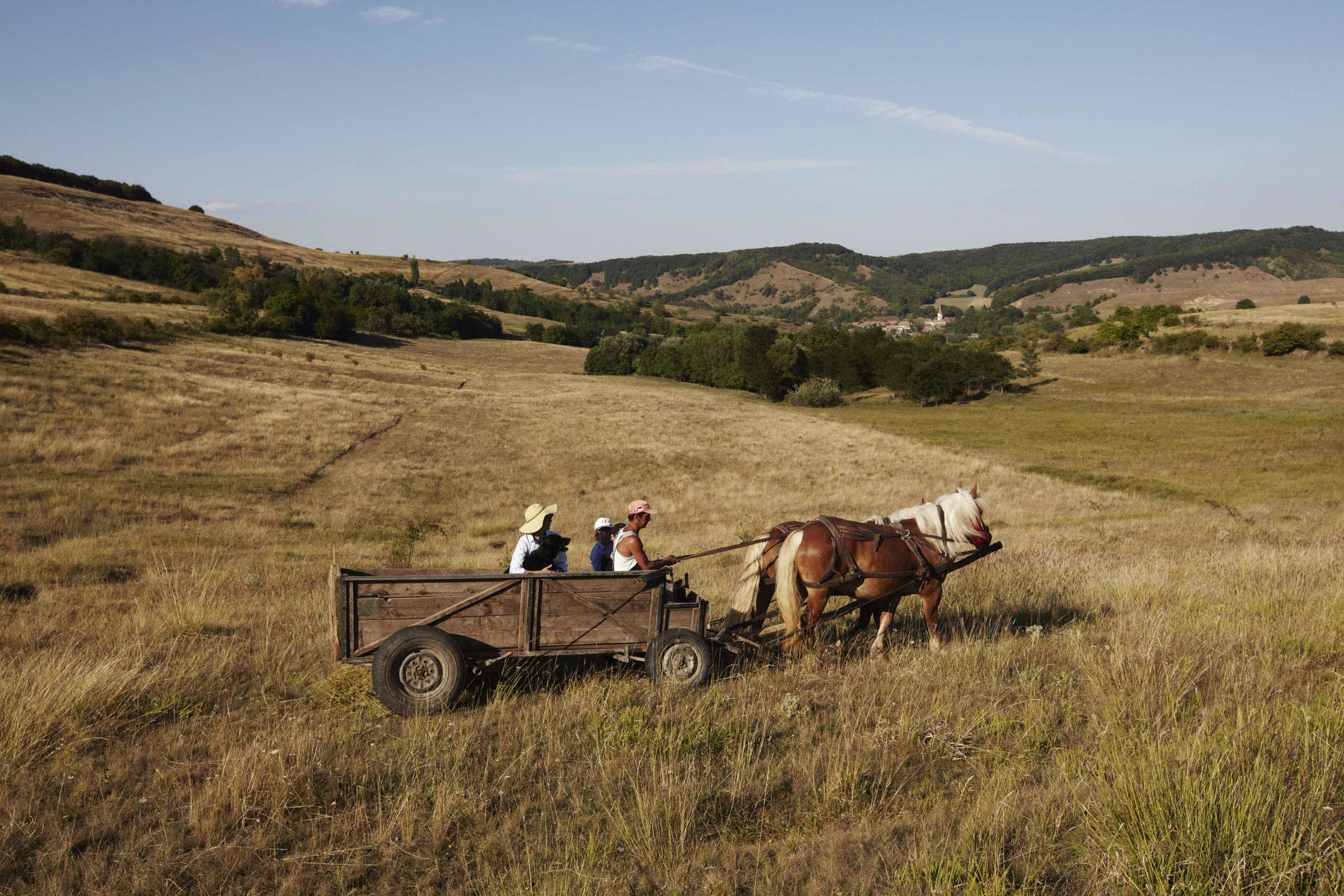 Eine Reise nach Transylvanien, wo man noch mit Pferdekutschen fahren kann und Trüffelhunde unterwegs sind. Für die Zeitschrift DOGS fotografiert.