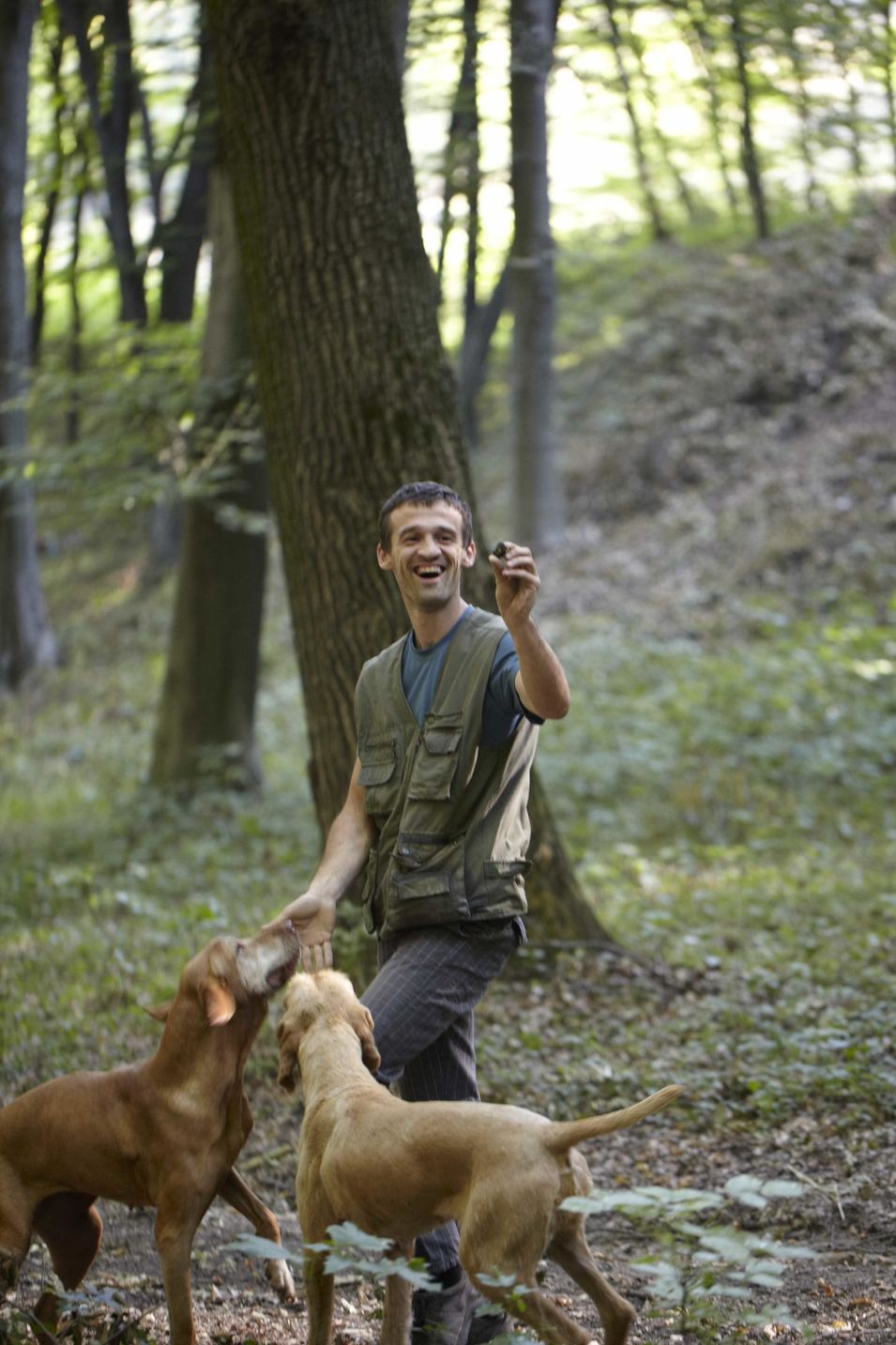 Eine Reise nach Transylvanien, wo man noch mit Pferdekutschen fahren kann und Trüffelhunde unterwegs sind. Für die Zeitschrift DOGS fotografiert.