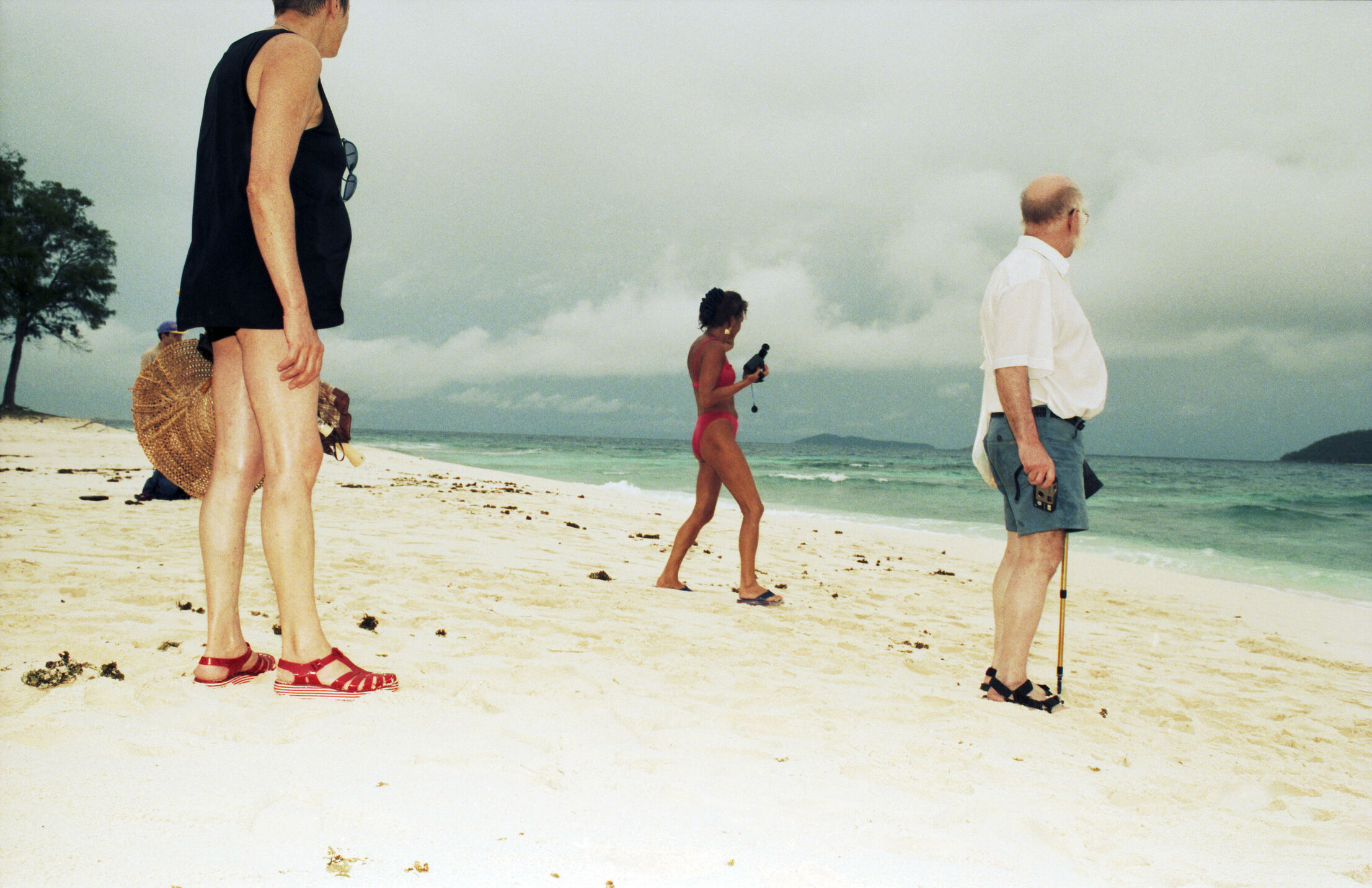 Reisegeschichte für Marie Claire auf die Seychellen und die Insel Praslin mit ihren Vögeln und Riesenschildkröten.