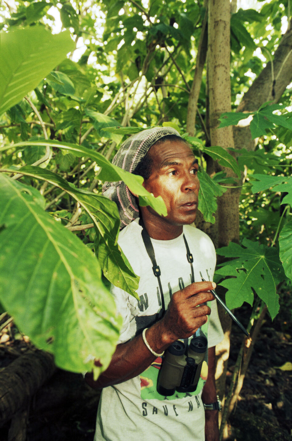 Reisegeschichte für Marie Claire auf die Seychellen und die Insel Praslin mit ihren Vögeln und Riesenschildkröten.