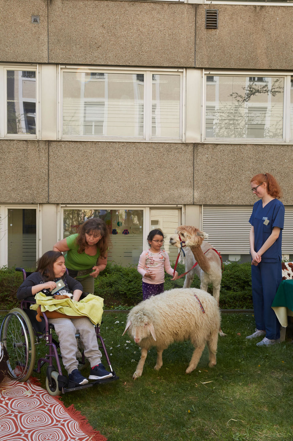 Schaf Hansi und Alpaka Nacho mit zwei Kindern unter Aufsicht von Monika Pomsik und einer Krankenschwester