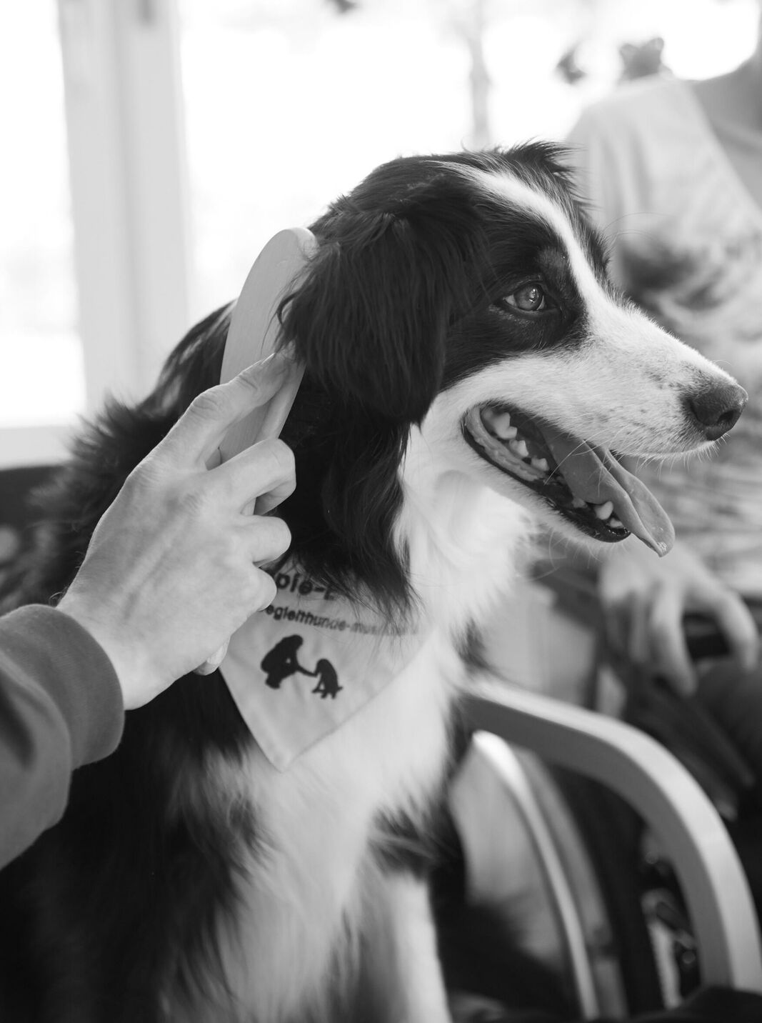 Therapiehund Emil bei der Arbeit in einem Pflegeheim in München, fotografiert für BISS, Bürger in sozialen Schwierigkeiten.